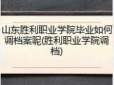 山东胜利职业学院毕业如何调档案呢(胜利职业学院调档)