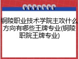 铜陵职业技术学院主攻什么方向有哪些王牌专业(铜陵职院王牌专业)