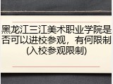 黑龙江三江美术职业学院是否可以进校参观，有何限制(入校参观限制)