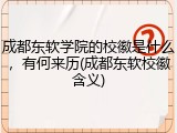 成都东软学院的校徽是什么，有何来历(成都东软校徽含义)