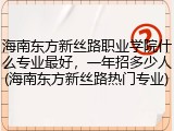 海南东方新丝路职业学院什么专业最好，一年招多少人(海南东方新丝路热门专业)