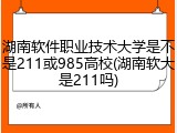 湖南软件职业技术大学是不是211或985高校(湖南软大是211吗)