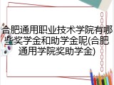 合肥通用职业技术学院有哪些奖学金和助学金呢(合肥通用学院奖助学金)