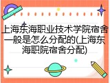 上海东海职业技术学院宿舍一般是怎么分配的(上海东海职院宿舍分配)