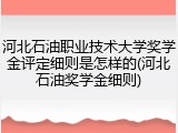 河北石油职业技术大学奖学金评定细则是怎样的(河北石油奖学金细则)