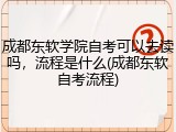 成都东软学院自考可以去读吗，流程是什么(成都东软自考流程)