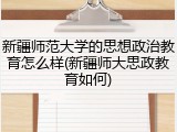 新疆师范大学的思想政治教育怎么样(新疆师大思政教育如何)