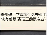 贵州理工学院读什么专业比较有前景(贵理工前景专业)