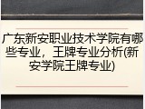 广东新安职业技术学院有哪些专业，王牌专业分析(新安学院王牌专业)