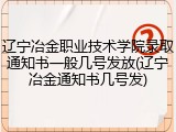 辽宁冶金职业技术学院录取通知书一般几号发放(辽宁冶金通知书几号发)