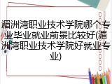 湄洲湾职业技术学院哪个专业毕业就业前景比较好(湄洲湾职业技术学院好就业专业)
