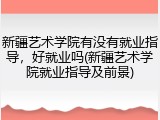 新疆艺术学院有没有就业指导，好就业吗(新疆艺术学院就业指导及前景)