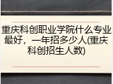 重庆科创职业学院什么专业最好，一年招多少人(重庆科创招生人数)