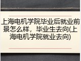 上海电机学院毕业后就业前景怎么样，毕业生去向(上海电机学院就业去向)