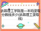 武昌理工学院是一本吗录取分数线多少(武昌理工录取线)