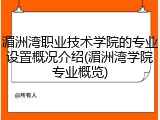 湄洲湾职业技术学院的专业设置概况介绍(湄洲湾学院专业概览)