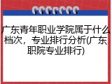 广东青年职业学院属于什么档次，专业排行分析(广东职院专业排行)