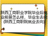 陕西工商职业学院毕业后就业前景怎么样，毕业生去向(陕西工商职院就业去向)