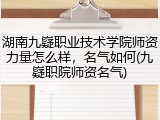 湖南九嶷职业技术学院师资力量怎么样，名气如何(九嶷职院师资名气)