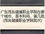 广东茂名健康职业学院在哪个城市，是本科吗，第几批(茂名健康职业学院批次)