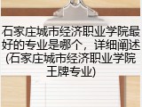 石家庄城市经济职业学院最好的专业是哪个，详细阐述(石家庄城市经济职业学院王牌专业)