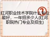 红河职业技术学院什么专业最好，一年招多少人(红河职院热门专业及招生)
