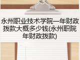 永州职业技术学院一年财政拨款大概多少钱(永州职院年财政拨款)