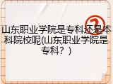 山东职业学院是专科还是本科院校呢(山东职业学院是专科？)