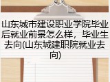 山东城市建设职业学院毕业后就业前景怎么样，毕业生去向(山东城建职院就业去向)