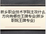 新乡职业技术学院主攻什么方向有哪些王牌专业(新乡职院王牌专业)