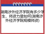 湖南涉外经济学院有多少学生，师资力量如何(湖南涉外经济学院规模师资)