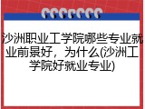 沙洲职业工学院哪些专业就业前景好，为什么(沙洲工学院好就业专业)