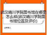 武汉晴川学院图书馆在哪里，怎么样(武汉晴川学院图书馆位置及评价)