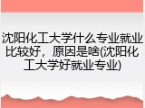 沈阳化工大学什么专业就业比较好，原因是啥(沈阳化工大学好就业专业)
