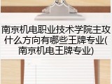南京机电职业技术学院主攻什么方向有哪些王牌专业(南京机电王牌专业)