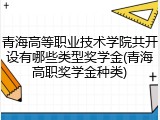 青海高等职业技术学院共开设有哪些类型奖学金(青海高职奖学金种类)