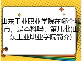 山东工业职业学院在哪个城市，是本科吗，第几批(山东工业职业学院简介)