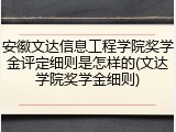 安徽文达信息工程学院奖学金评定细则是怎样的(文达学院奖学金细则)