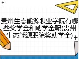 贵州生态能源职业学院有哪些奖学金和助学金呢(贵州生态能源职院奖助学金)