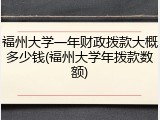 福州大学一年财政拨款大概多少钱(福州大学年拨款数额)