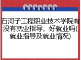 石河子工程职业技术学院有没有就业指导，好就业吗(就业指导及就业情况)