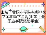 山东工业职业学院有哪些奖学金和助学金呢(山东工业职业学院奖助学金)