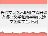 长沙文创艺术职业学院开设有哪些奖学和助学金(长沙文创奖学金种类)