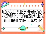 山东化工职业学院最好的专业是哪个，详细阐述(山东化工职业学院王牌专业)