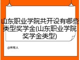 山东职业学院共开设有哪些类型奖学金(山东职业学院奖学金类型)