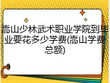 嵩山少林武术职业学院到毕业要花多少学费(嵩山学费总额)
