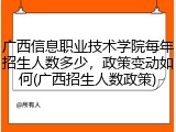广西信息职业技术学院每年招生人数多少，政策变动如何(广西招生人数政策)