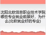 沈阳北软信息职业技术学院哪些专业就业前景好，为什么(北软就业好的专业)