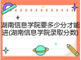 湖南信息学院要多少分才能进(湖南信息学院录取分数)