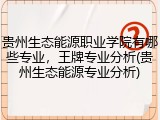 贵州生态能源职业学院有哪些专业，王牌专业分析(贵州生态能源专业分析)